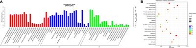 Protein Arginine Methyltransferase 5 Functions via Interacting Proteins